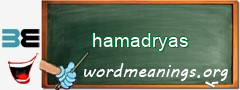 WordMeaning blackboard for hamadryas